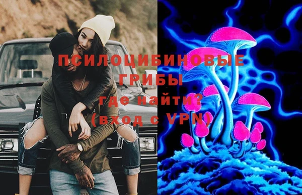 кокс Алзамай