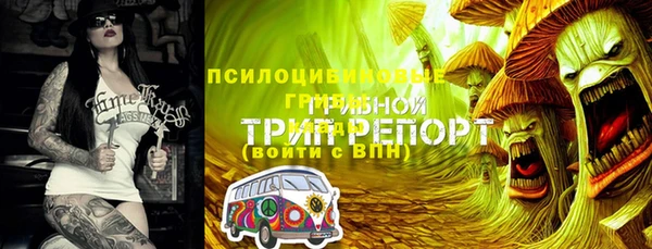 ECSTASY Абаза