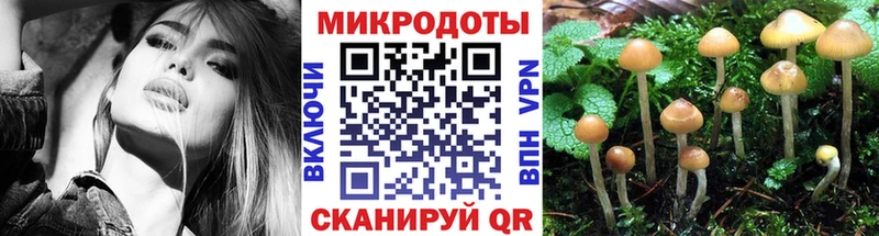 дарк нет состав  Чехов  Псилоцибиновые грибы прущие грибы  blacksprut ссылка 